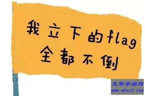 立旗 意思|如何用专业术语解释“立flag”的意思？